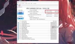 A screenshot showing the highlighted Total Host Writes info of an SSD on CrystalDiskInfo utility.