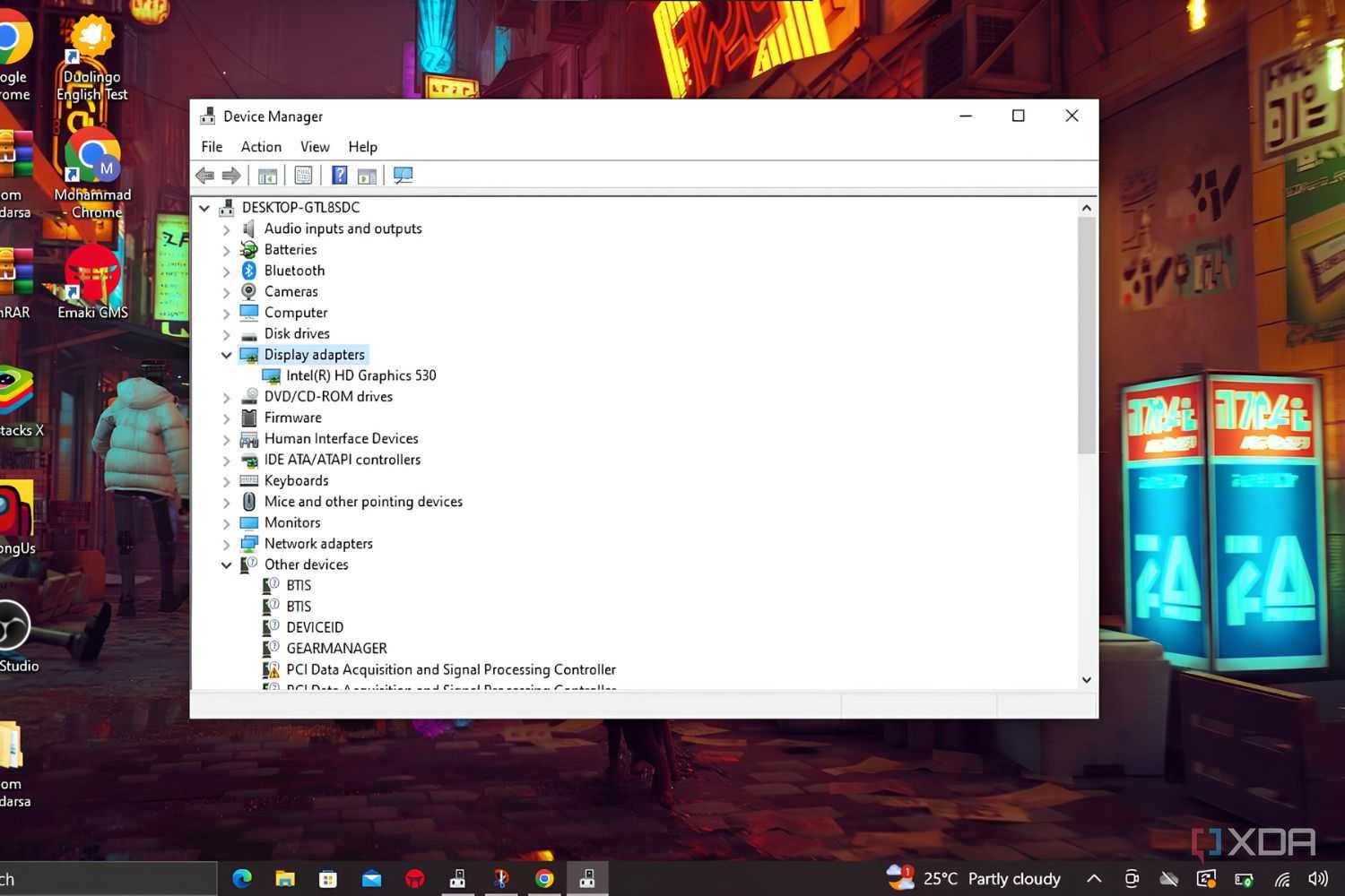 Windows 10 screenshot that highlights the Display adapter branch in Device Manager