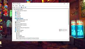 Windows 10 screenshot that highlights the Display adapter branch in Device Manager