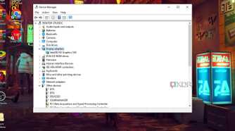 Windows 10 screenshot that highlights the Display adapter branch in Device Manager
