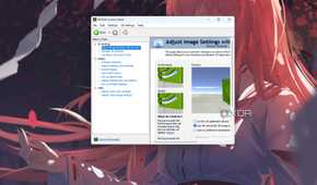 A screenshot showing the NvCP adjust image settings page on a Windows PC.