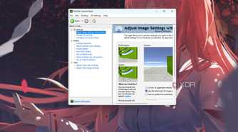A screenshot showing the NvCP adjust image settings page on a Windows PC.