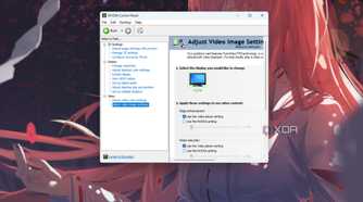 A screenshot showing the NvCP video settings adjustment screen on a Windows PC.