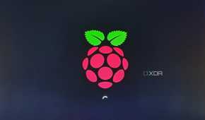 The splash screen that appears when booting Windows 11 using RPi5 UEFI
