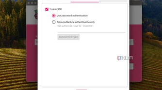 Screenshot of the services tab of the Raspberry Pi Imager.