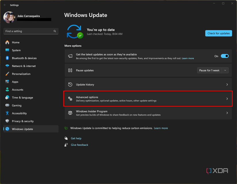 Screenshot of Windows Update with the Advanced options button highlighted