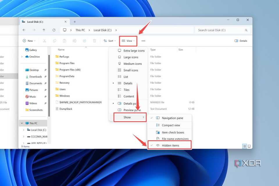 The procedure to make hidden files visible in File Explorer