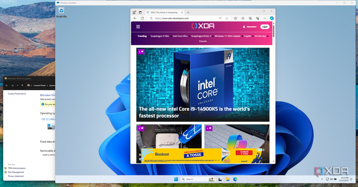 5 reasons to upgrade to Windows 11 Pro