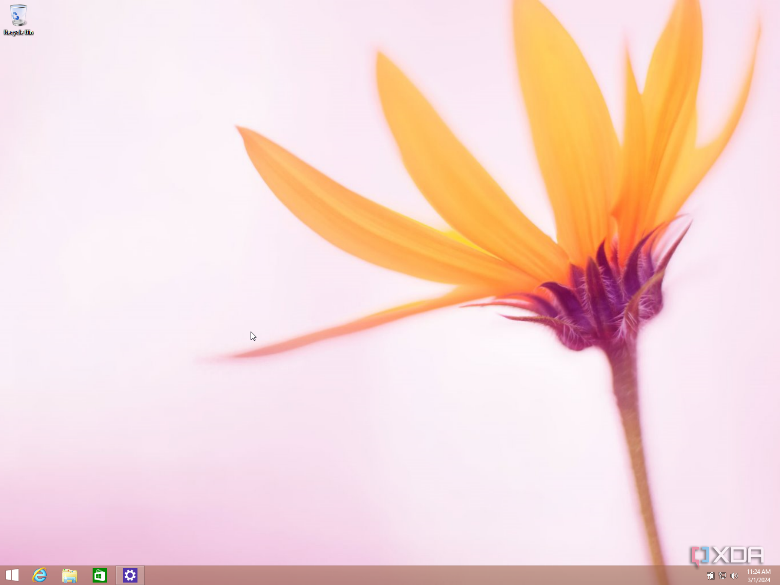 Windows 8.1 desktop showing a Start button in the bottom left corner