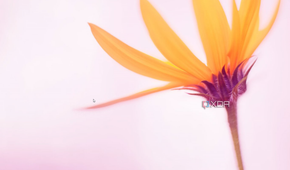 Windows 8.1 desktop showing a Start button in the bottom left corner