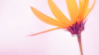 Windows 8.1 desktop showing a Start button in the bottom left corner