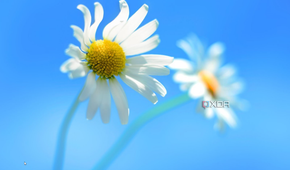 Windows 8 desktop without a Start button