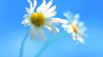 Windows 8 desktop without a Start button