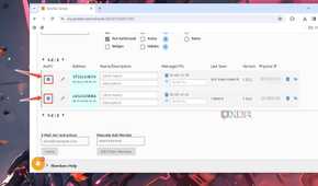 The ZeroTier UI with the Auth? checkboxes enabled