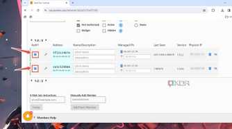 The ZeroTier UI with the Auth? checkboxes enabled