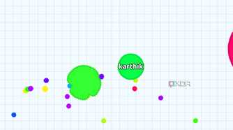 A screenshot showing the Agar IO main game.