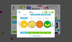 A screenshot showing the Agar IO skin selection.