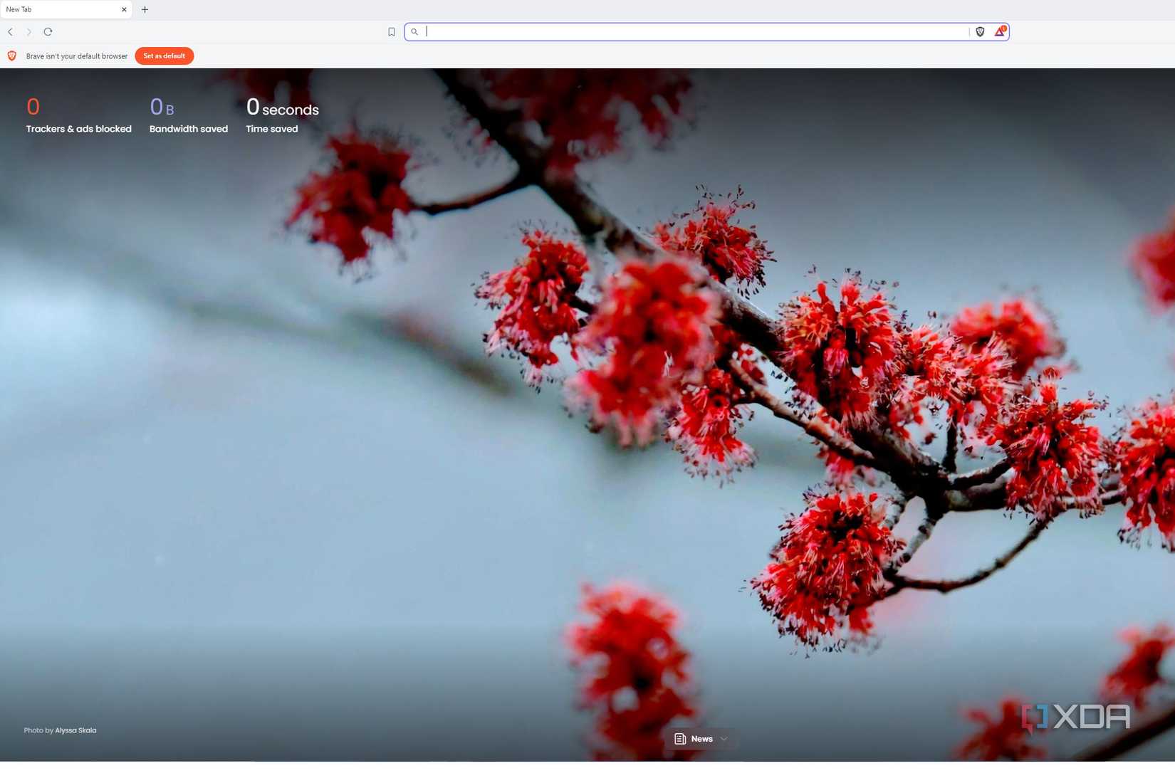 image of brave browser on main page