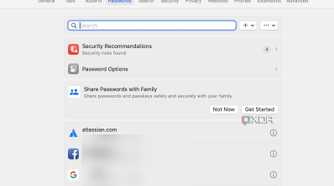 Safari password management
