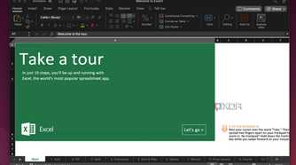 Screenshot showing Microsoft Excel on a Mac