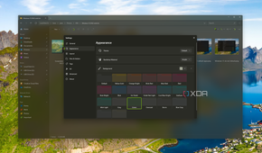 Screenshot of appearance customization options in the Files app