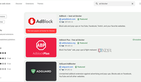 Google chrome extension store page showing ad blockers