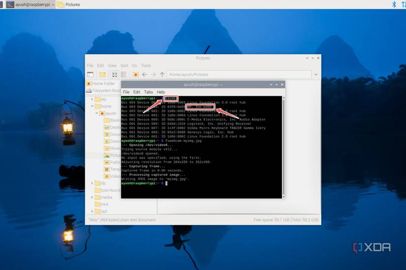 The lsusb command in the Raspberry Pi OS terminal