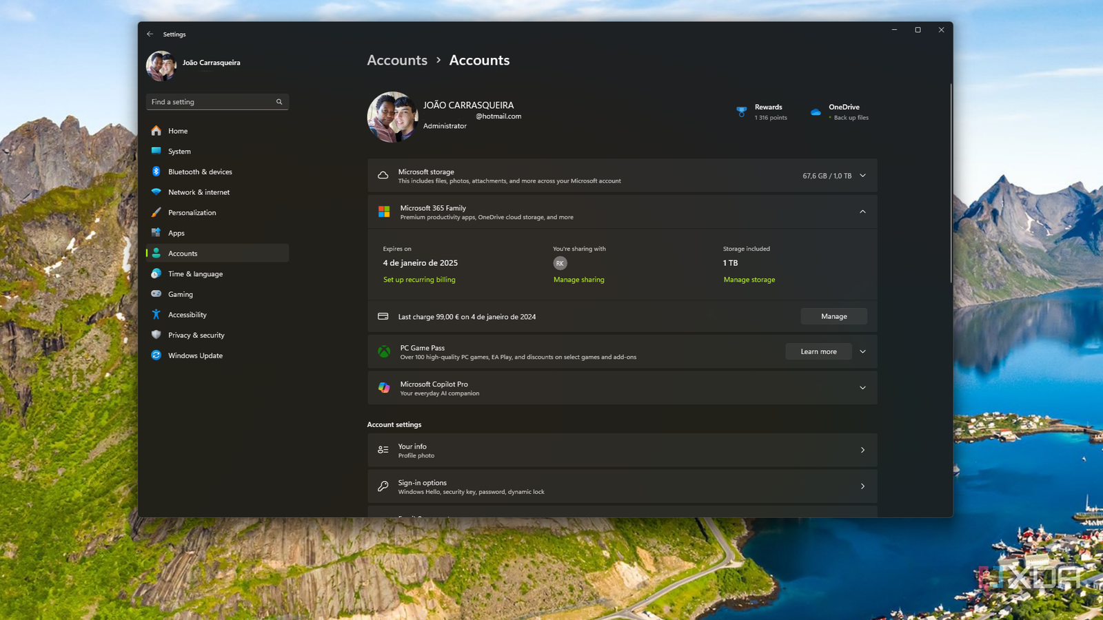 Screenshot of the Accounts page in Windows 11 Settingsa when signed in with a Microsoft account