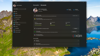 Screenshot of the Accounts page in Windows 11 Settingsa when signed in with a Microsoft account