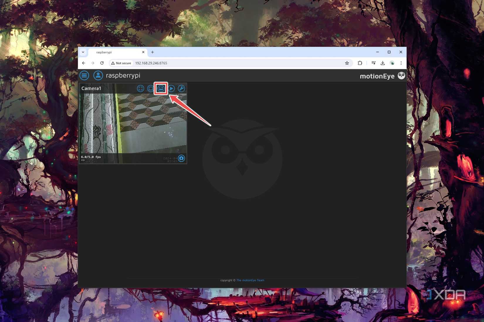 The Pictures Browser in MotionEye