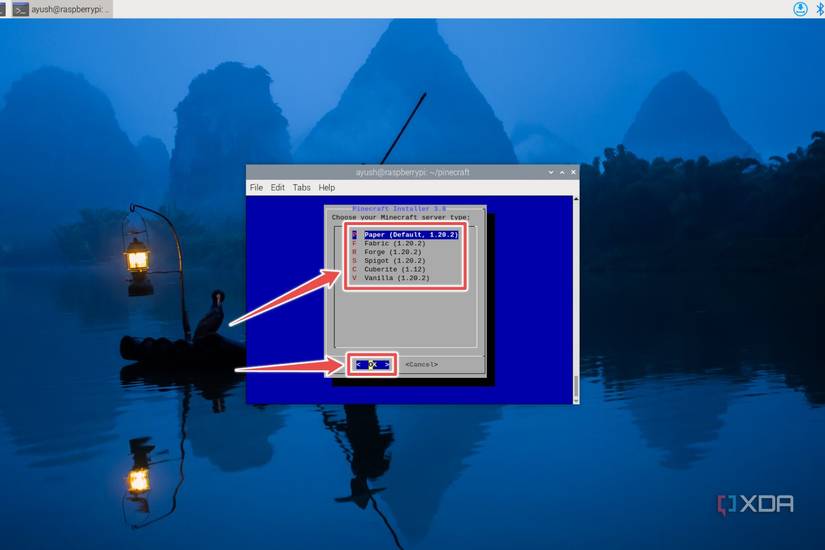 Selecting the server type in the Pinecraft installer
