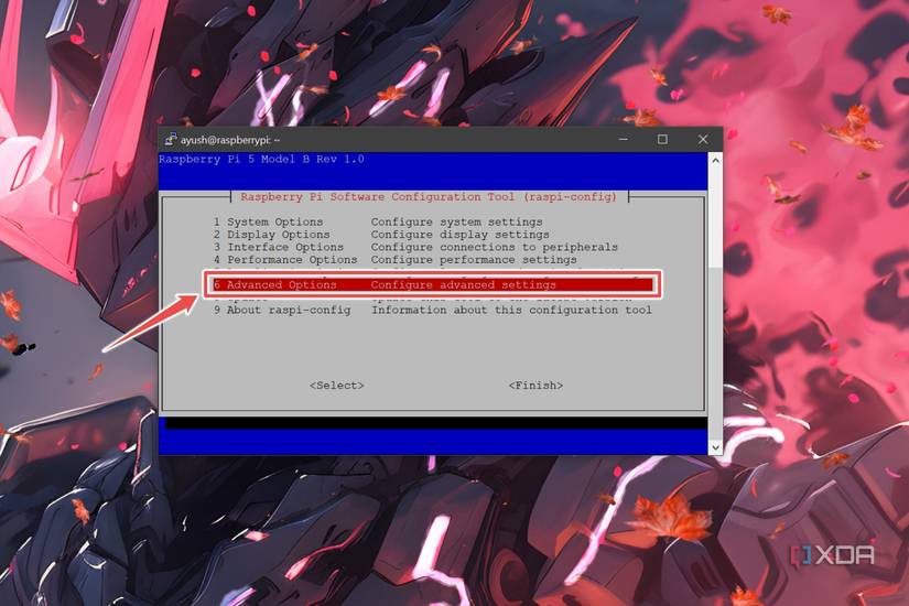 The Advanced Options highlighted inside the Raspberry Pi Software Configuration Tool