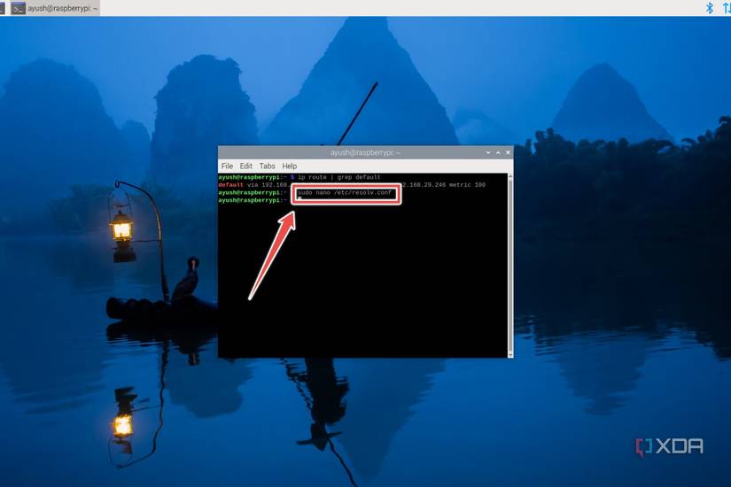 The command to view the DNS address