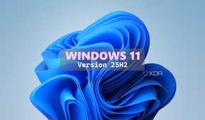 Windows 11 Bloom wallpaper with text reading Windows 11 Version 25H2 over it