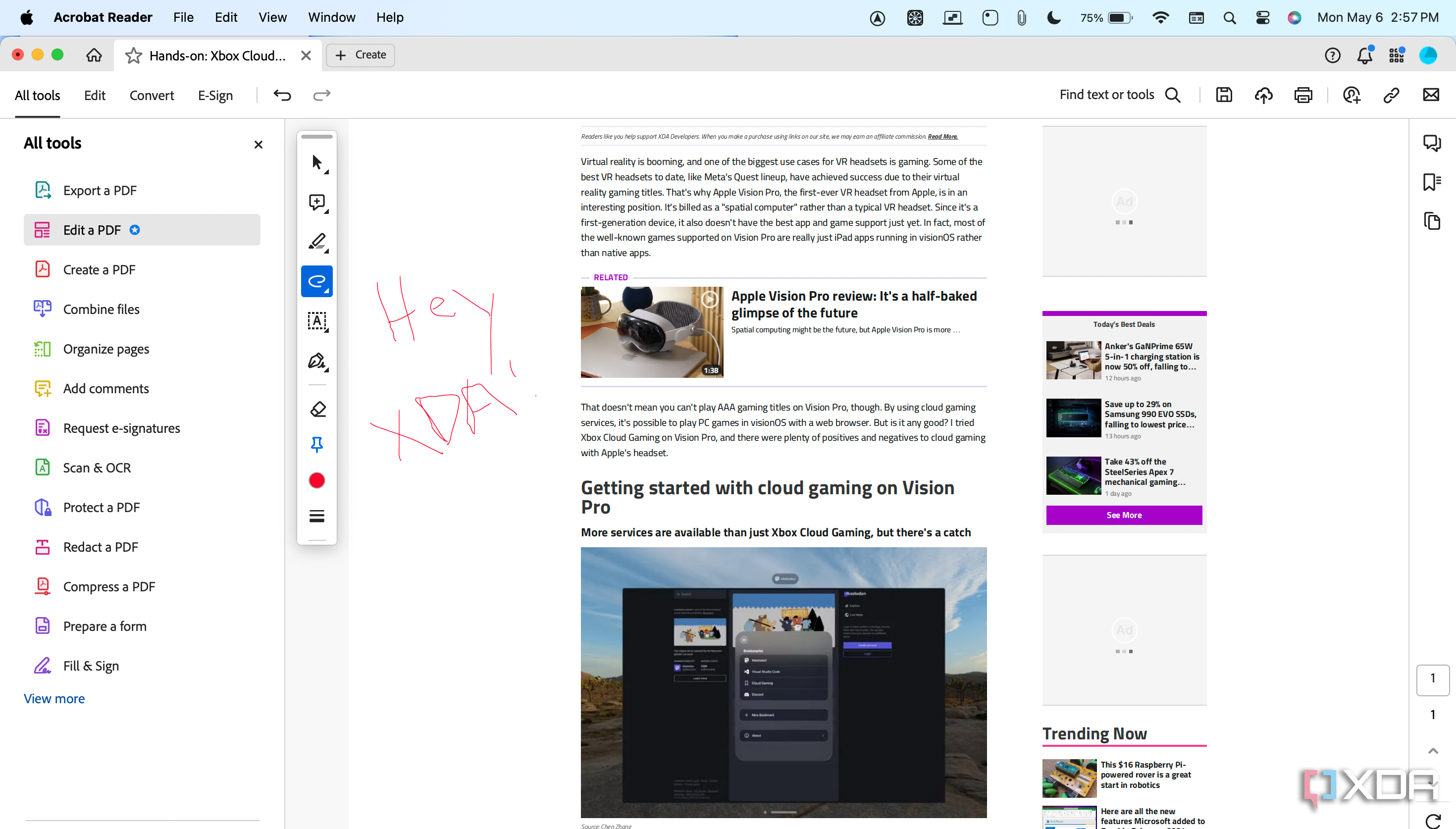 Annotations in Adobe Acrobat.