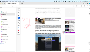 Annotations in Adobe Acrobat.