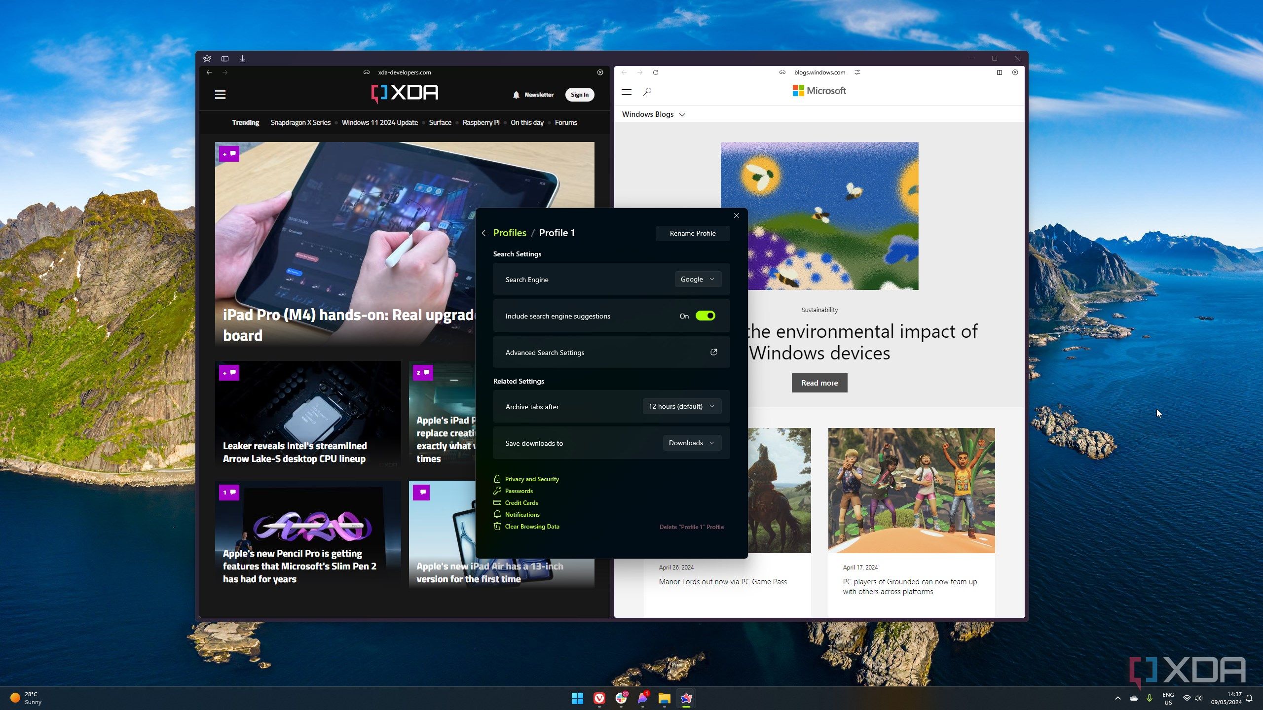Screenshot of the Arc browser showing the browser's settings