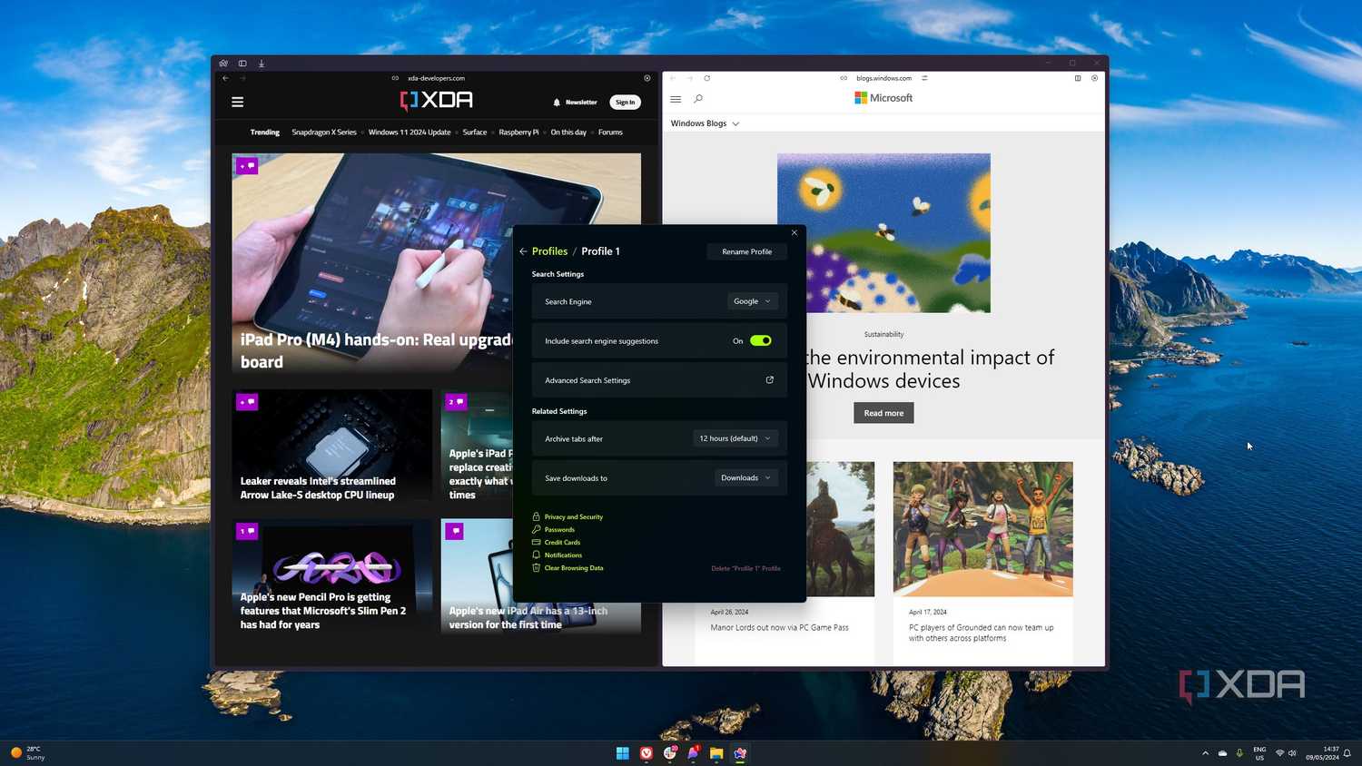 Screenshot of the Arc browser showing the browser's settings