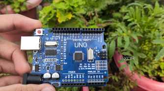 An Arduino board held in front of some plants
