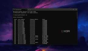Windows 11 command prompt screenshot that shows the netstat command in action