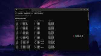 Windows 11 command prompt screenshot that shows the netstat command in action