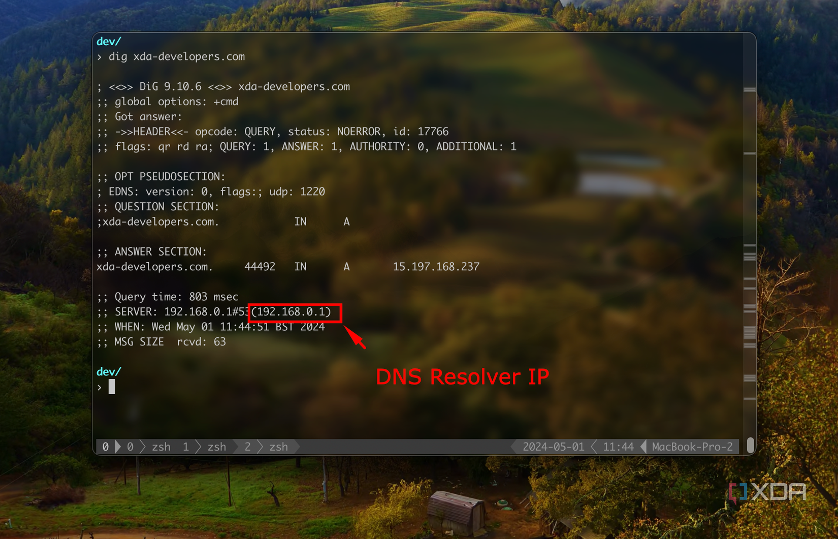 dns-3