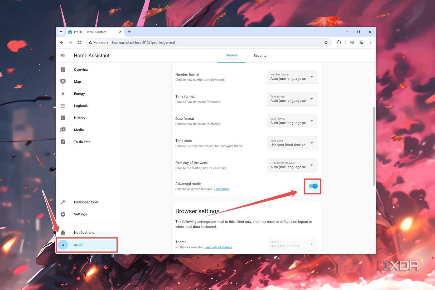 The Advanced Mode in Home Assistant