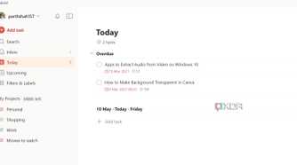 Todoist home