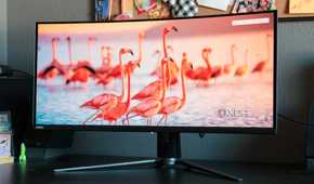 The front of the MSI MAG 341CQP showing an image of flamingos.