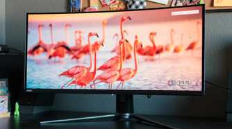 The front of the MSI MAG 341CQP showing an image of flamingos.