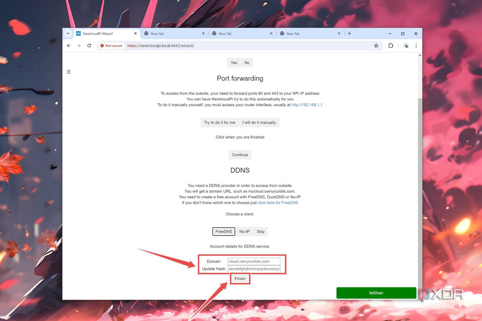 The Domain and Update Hash options highlighted in the NextCloudPi web UI