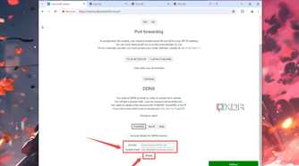 The Domain and Update Hash options highlighted in the NextCloudPi web UI