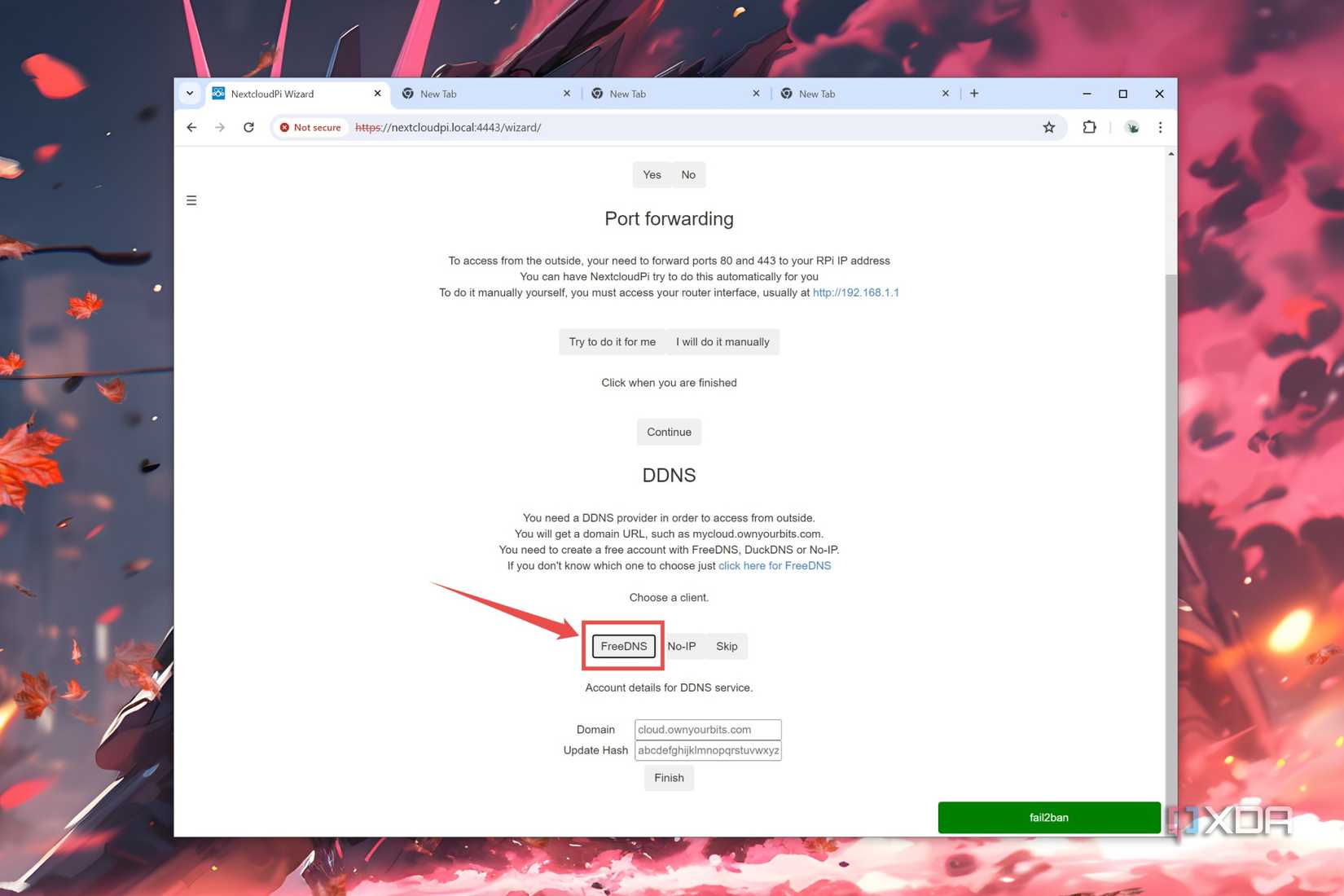 The procedure to select a DNS provider in the NextCloudPi web UI