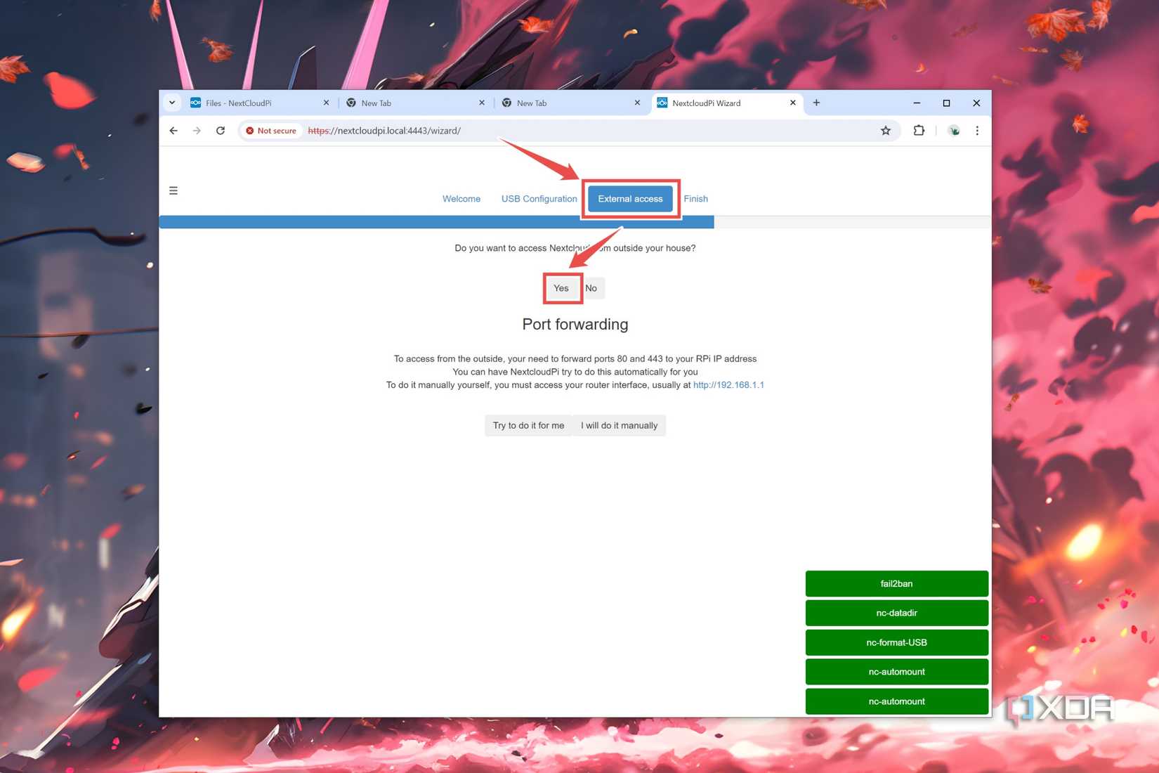 The External Access tab in the NextCloudPi web UI